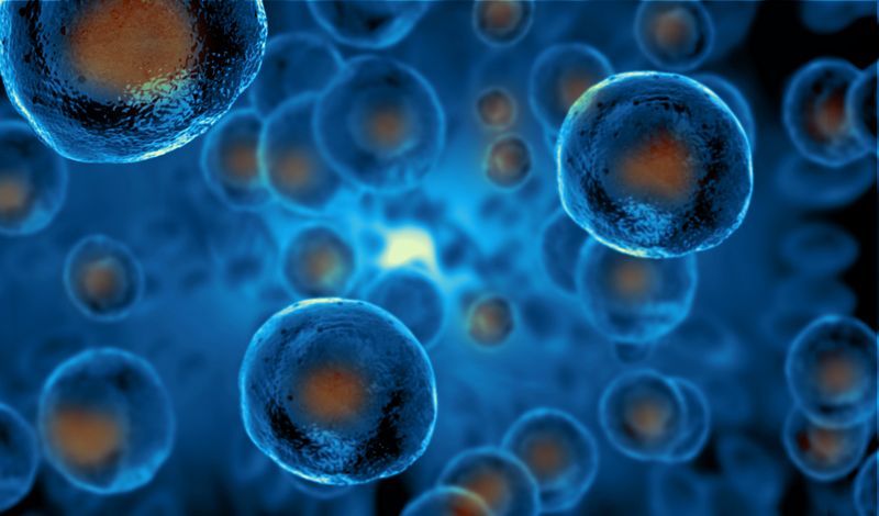 Stem-Cells-Therapy-Kirkland-WA