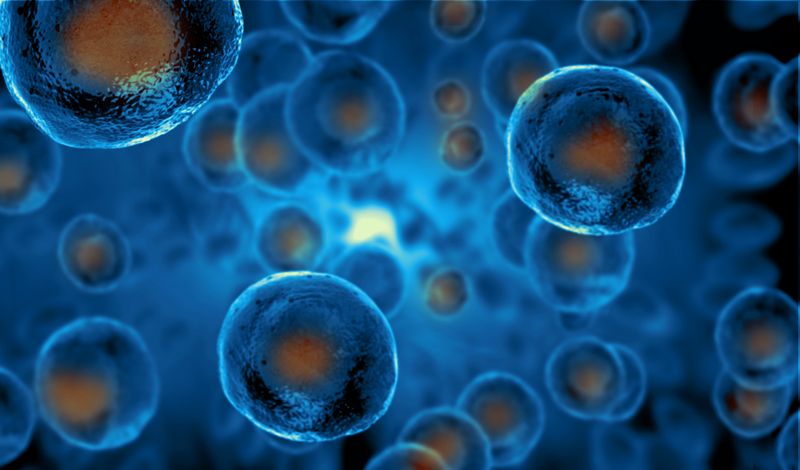Call Vibrant Health for Renton Stem Cell therapy to repair damaged cells within your body!